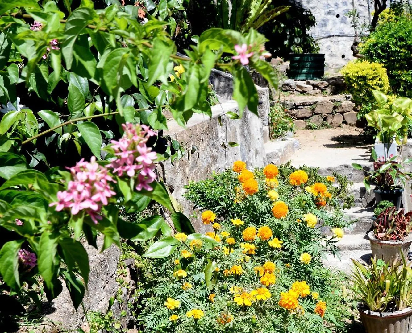 Green Bird Villas Kandy